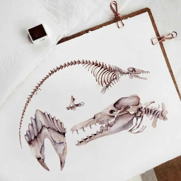 Platyosphys paulsoni Dinosaur Watercolour Giclée Print