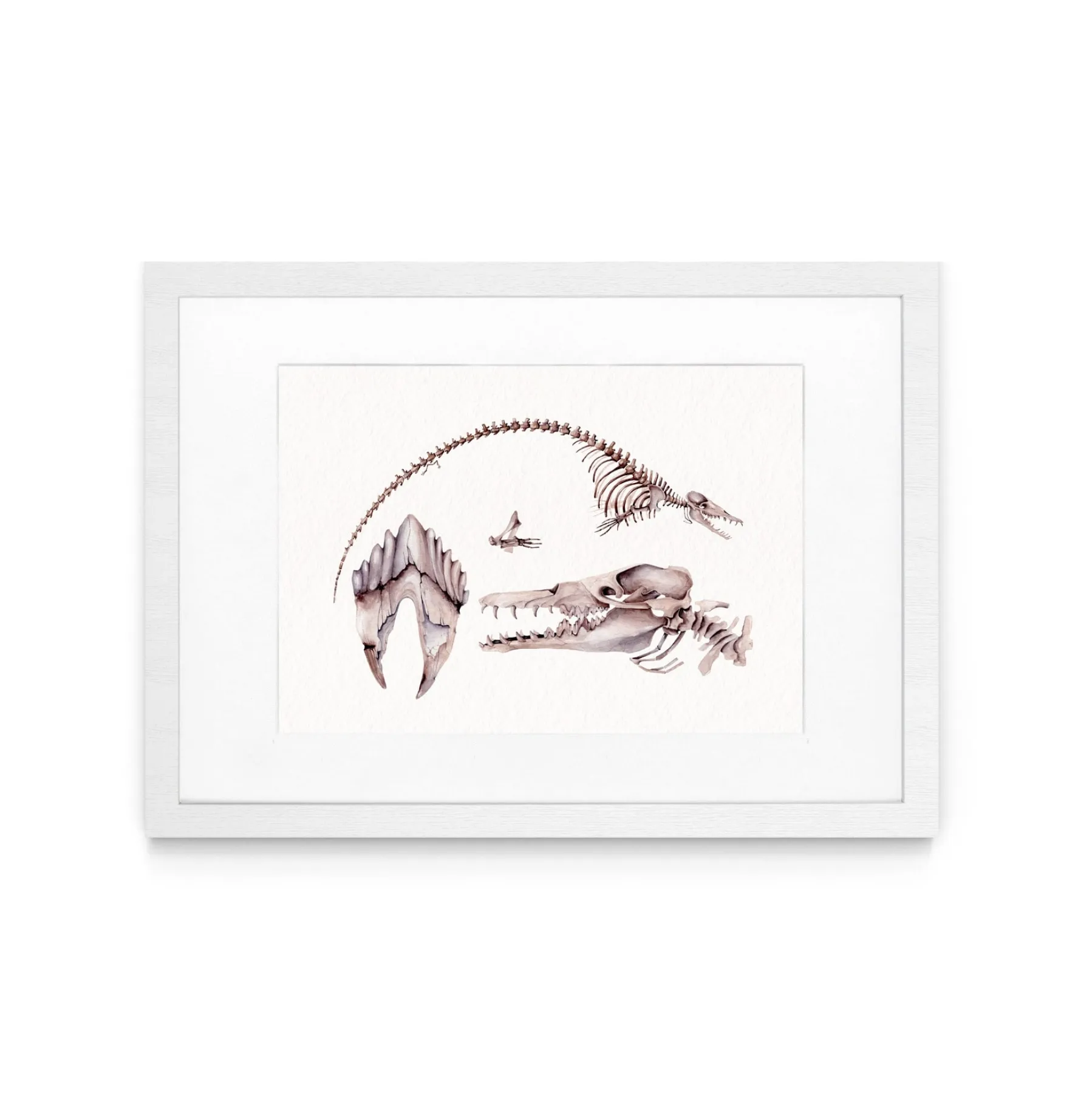 Minibeast Stampa Giclée ad acquerello del dinosauro Platyosphys paulsoni