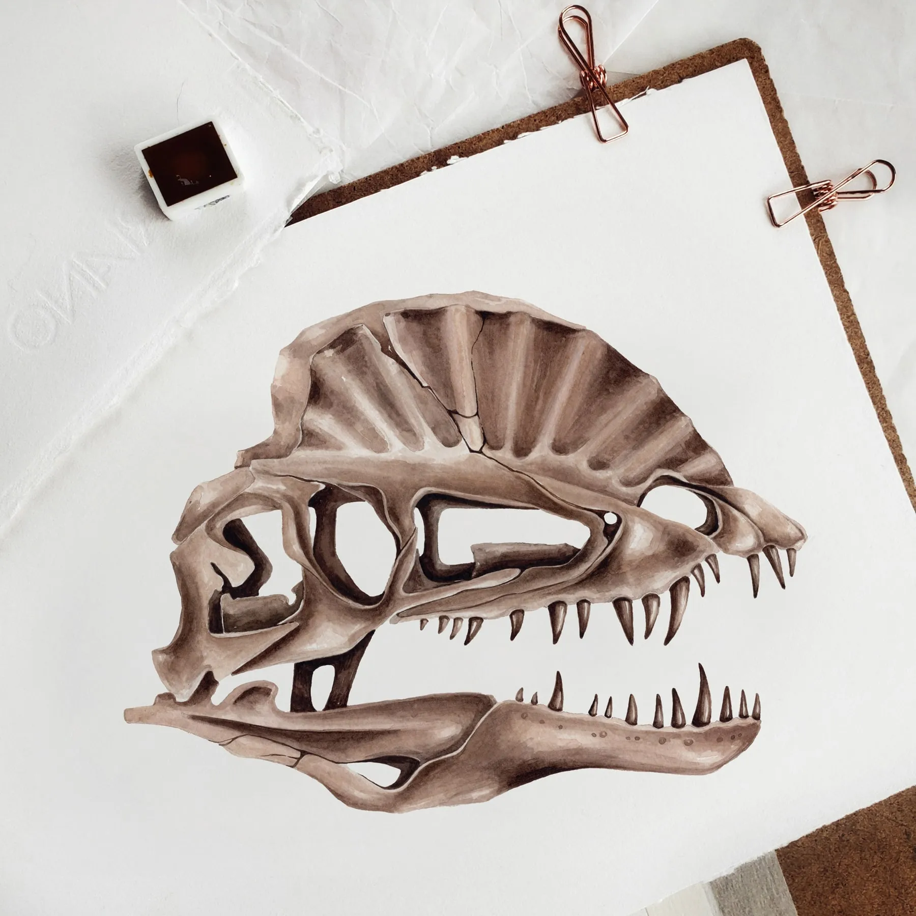 Minibeast Dilophosaurus Dinosaur aquarel gicléeprint