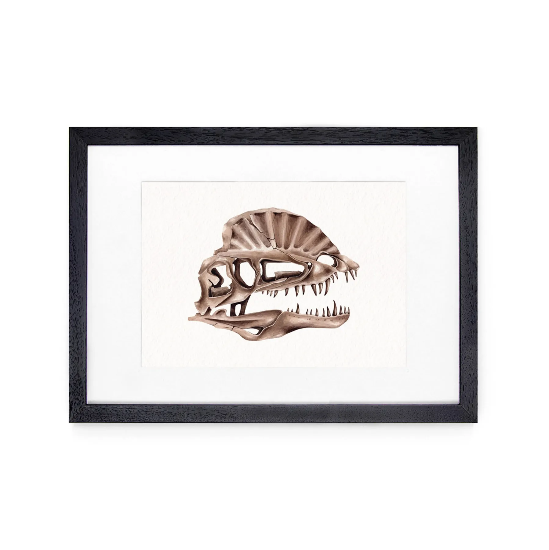 Minibeast Dilophosaurus Dinosaur aquarel gicléeprint