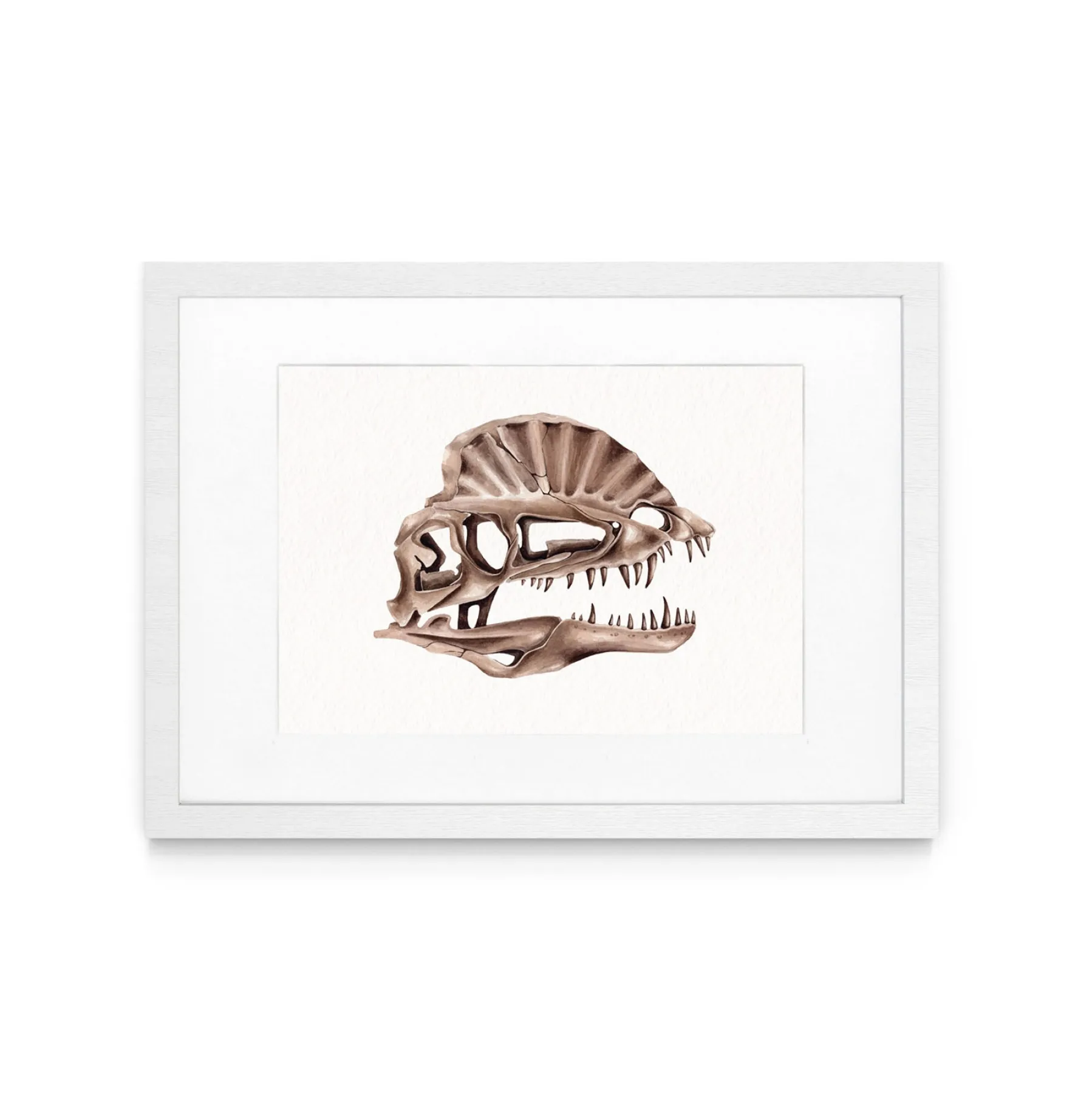 Minibeast Dilophosaurus Dinosaur aquarel gicléeprint