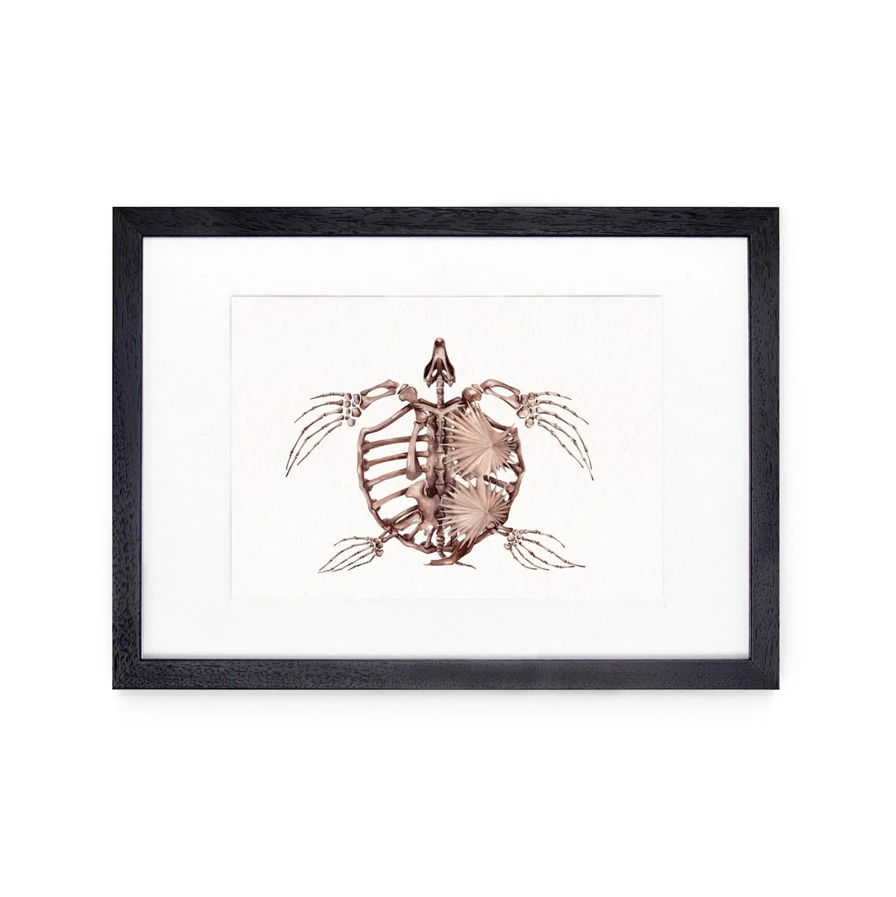 Minibeast Archelon Dinosaur Watercolour Giclée Print