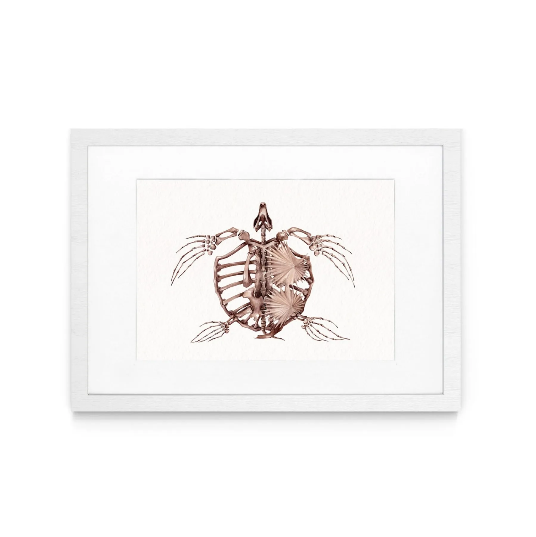 Minibeast Archelon Dinosaur Watercolour Giclée Print