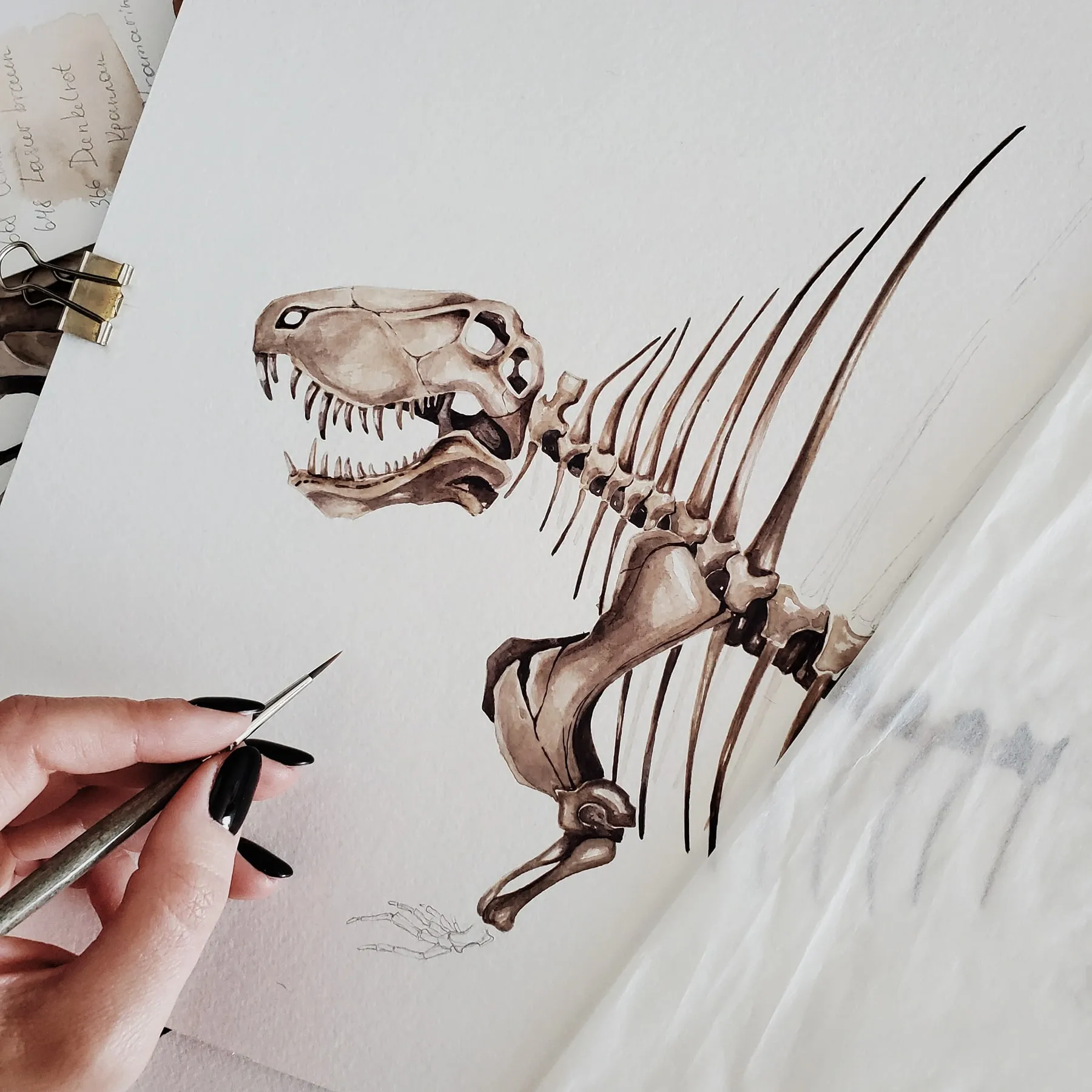 Minibeast Dimetrodon Dinosaurus Aquarel gicléeprint