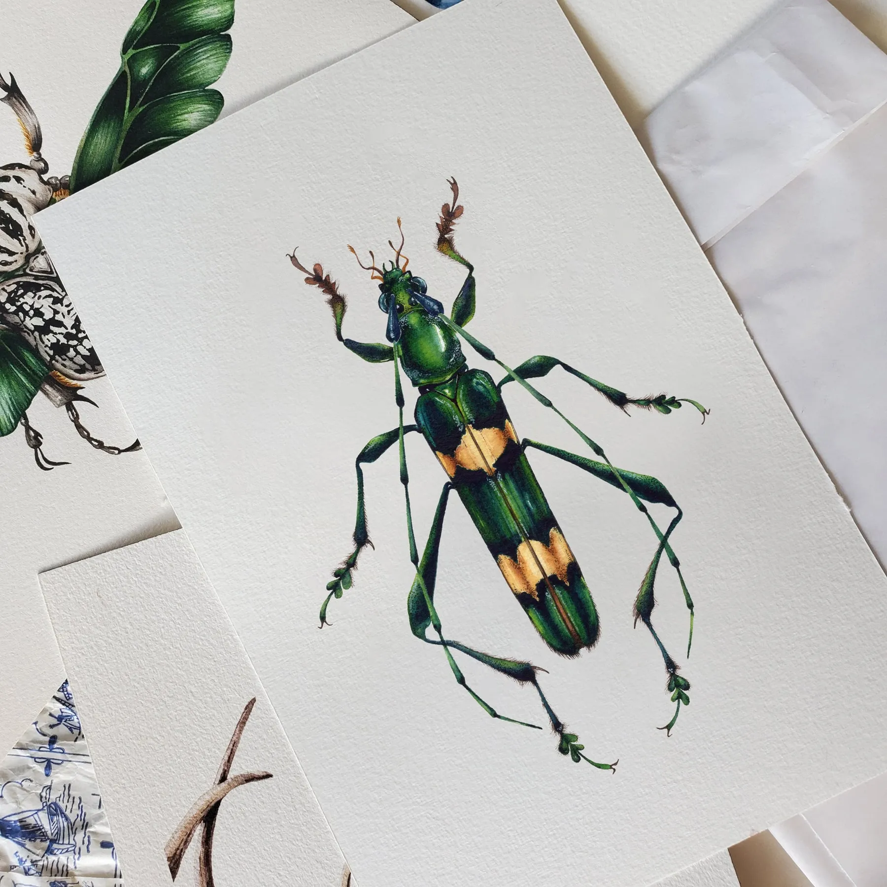 Minibeast Polyzonus flavocinctus Watercolour Giclée Print
