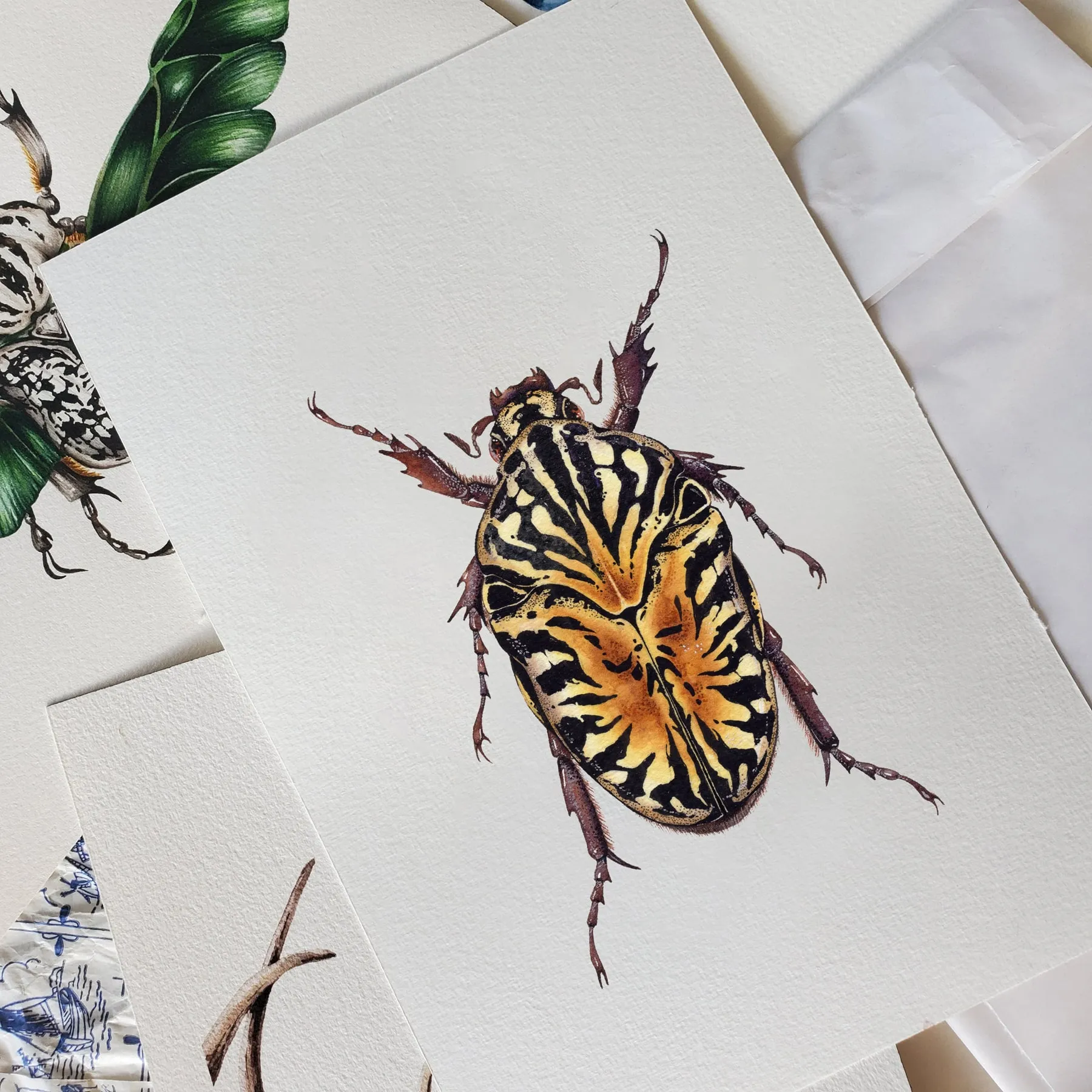 Minibeast Gymnetis Stellata aquarel gicléeprint