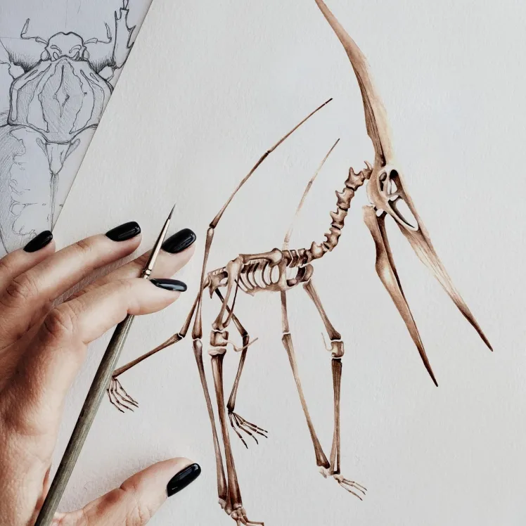 Pteranodon Dinosaur Watercolour Giclée Print