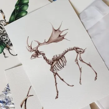 Megaloceros Watercolour Giclée Print