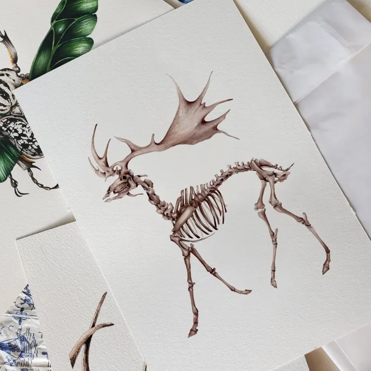 Megaloceros Watercolour Giclée Print