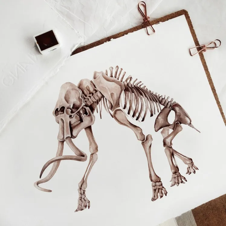 Woolly Mammoth (Mammuthus primigenius) Watercolour Giclée Print