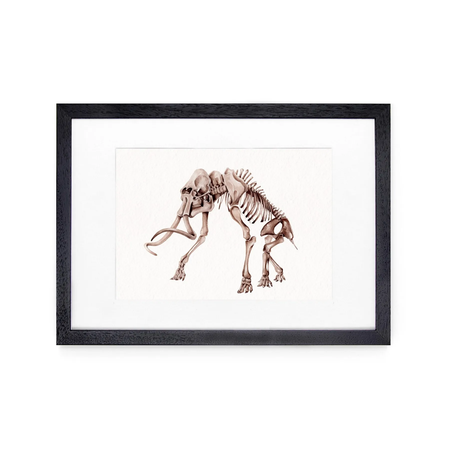 Minibeast Mammut Lanoso (Mammuthus primigenius) Stampa Giclée Acquerello