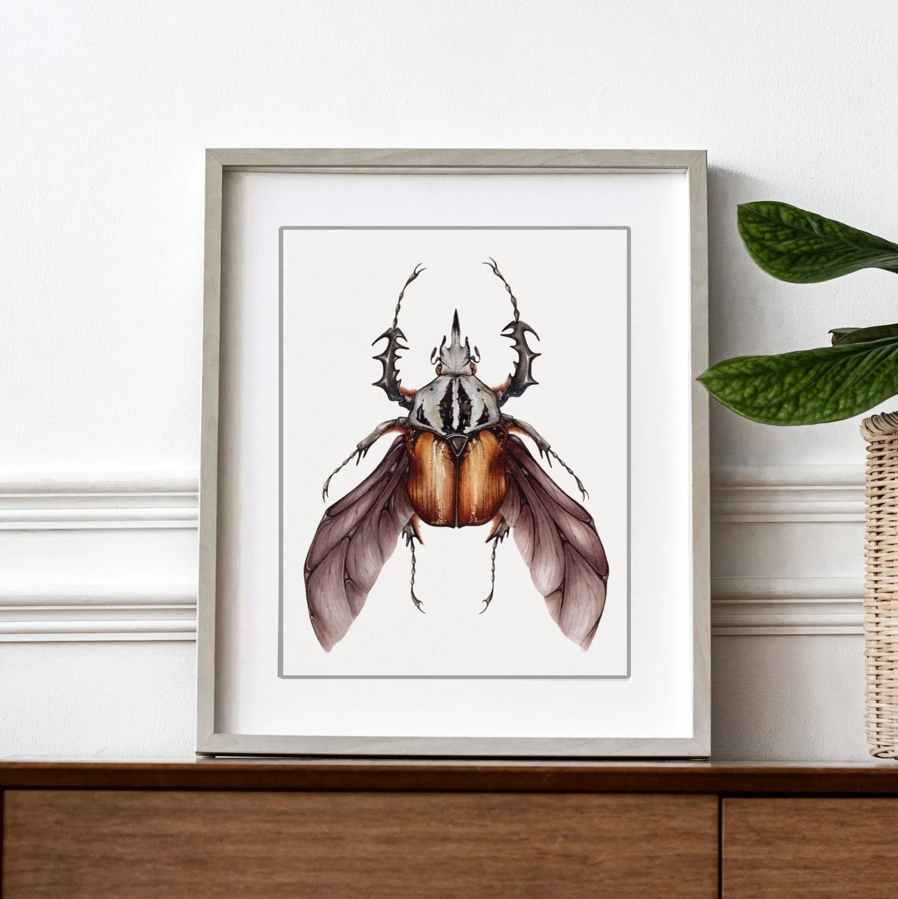 Minibeast African Flower Beetle (Mecynorrhina oberthuri) Watercolour Giclée Print