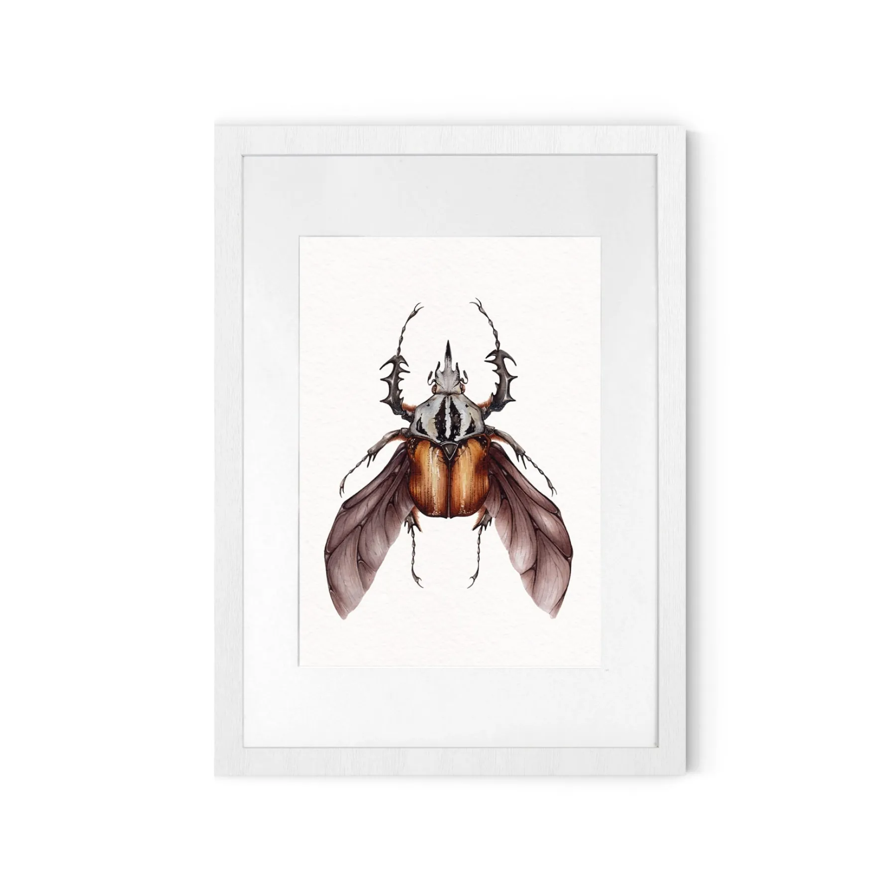 Minibeast African Flower Beetle (Mecynorrhina oberthuri) Watercolour Giclée Print