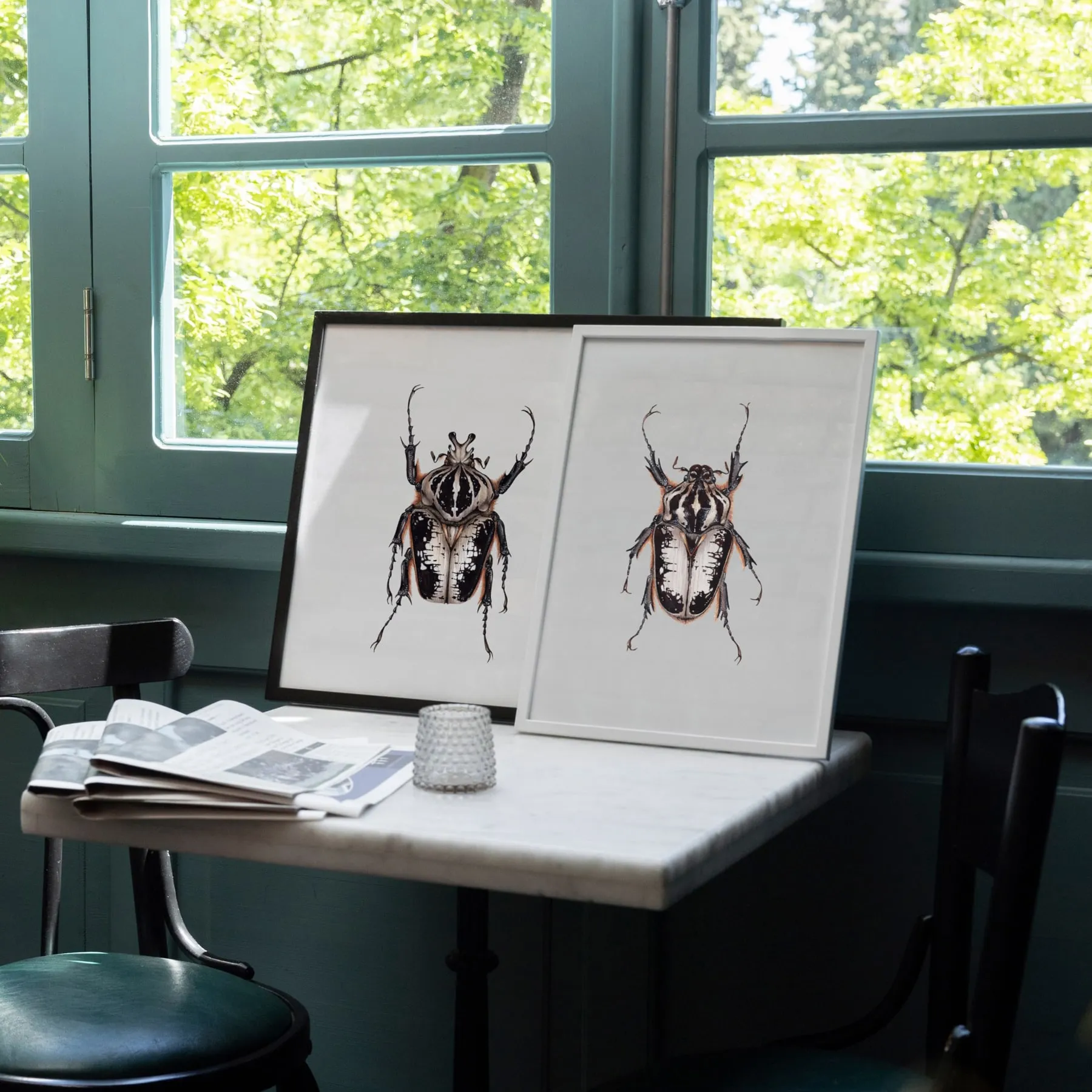 Minibeast ScarabéE Goliath Royal Mâle (Goliathus regius) Impression Giclée Aquarelle