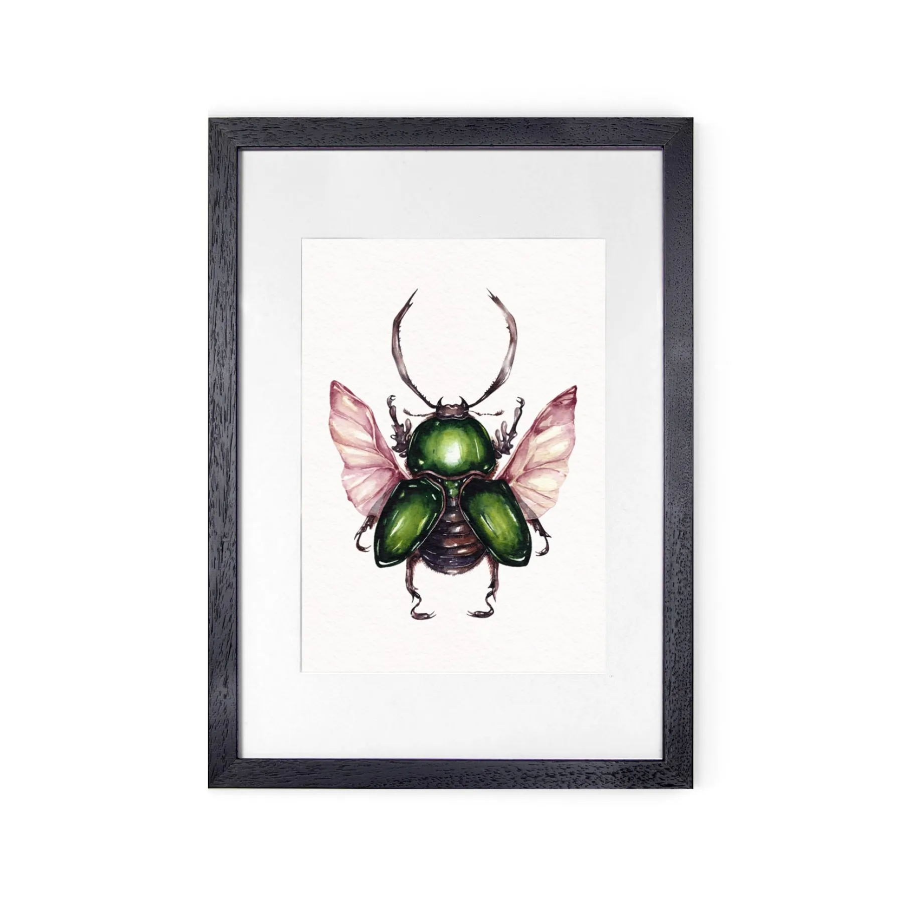 Minibeast Sägezahnkäfer (Lamprima adolphinae) Aquarell Giclée Druck