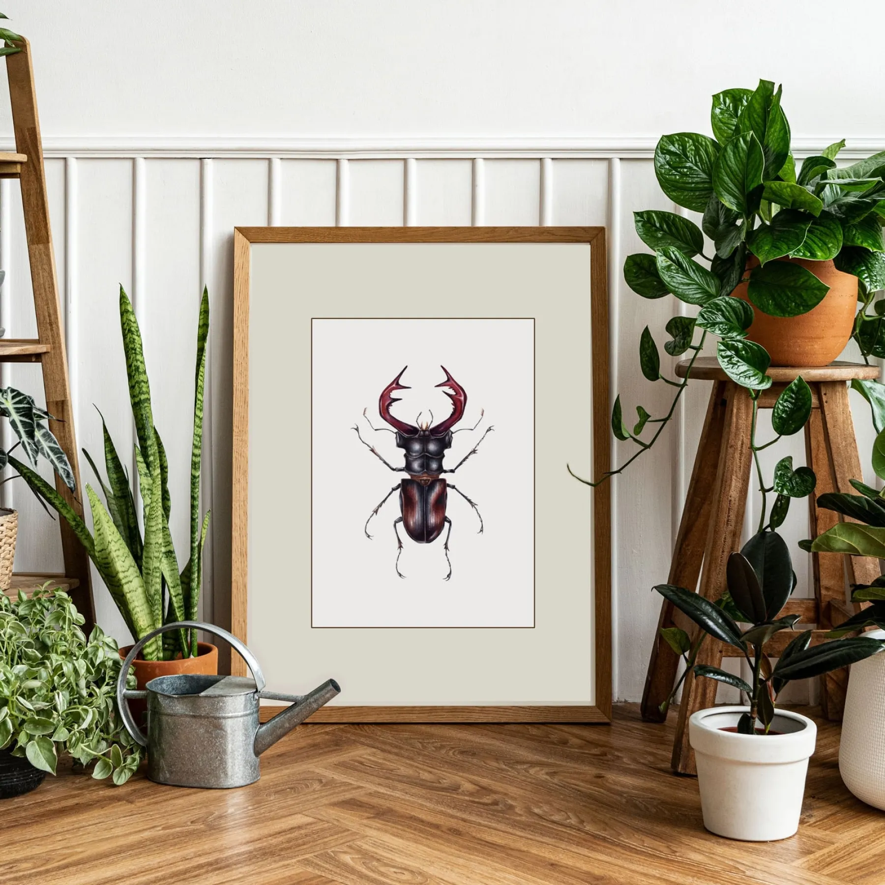 Minibeast Cervo Beetle Europeo (Lucanus cervus) Stampa Giclée Acquerello