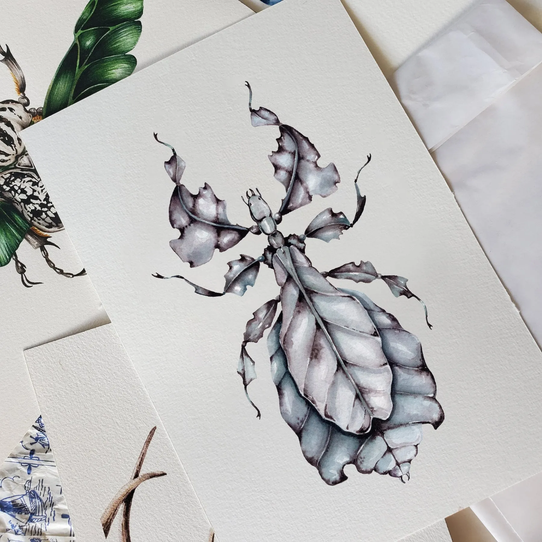 Minibeast Gray's Leaf Insect (Phyllium bioculatum) Watercolour Giclée Print