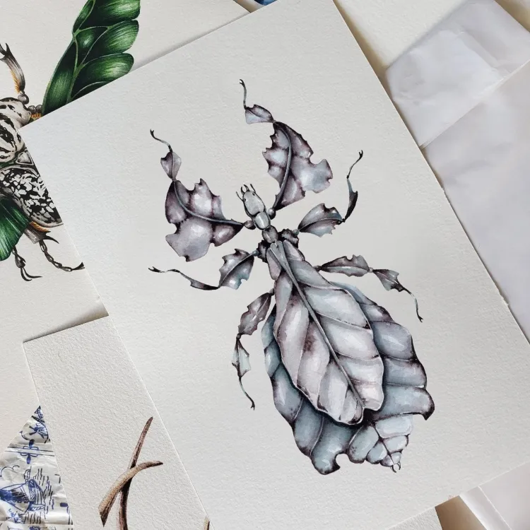 Gray's Leaf Insect (Phyllium bioculatum) Watercolour Giclée Print