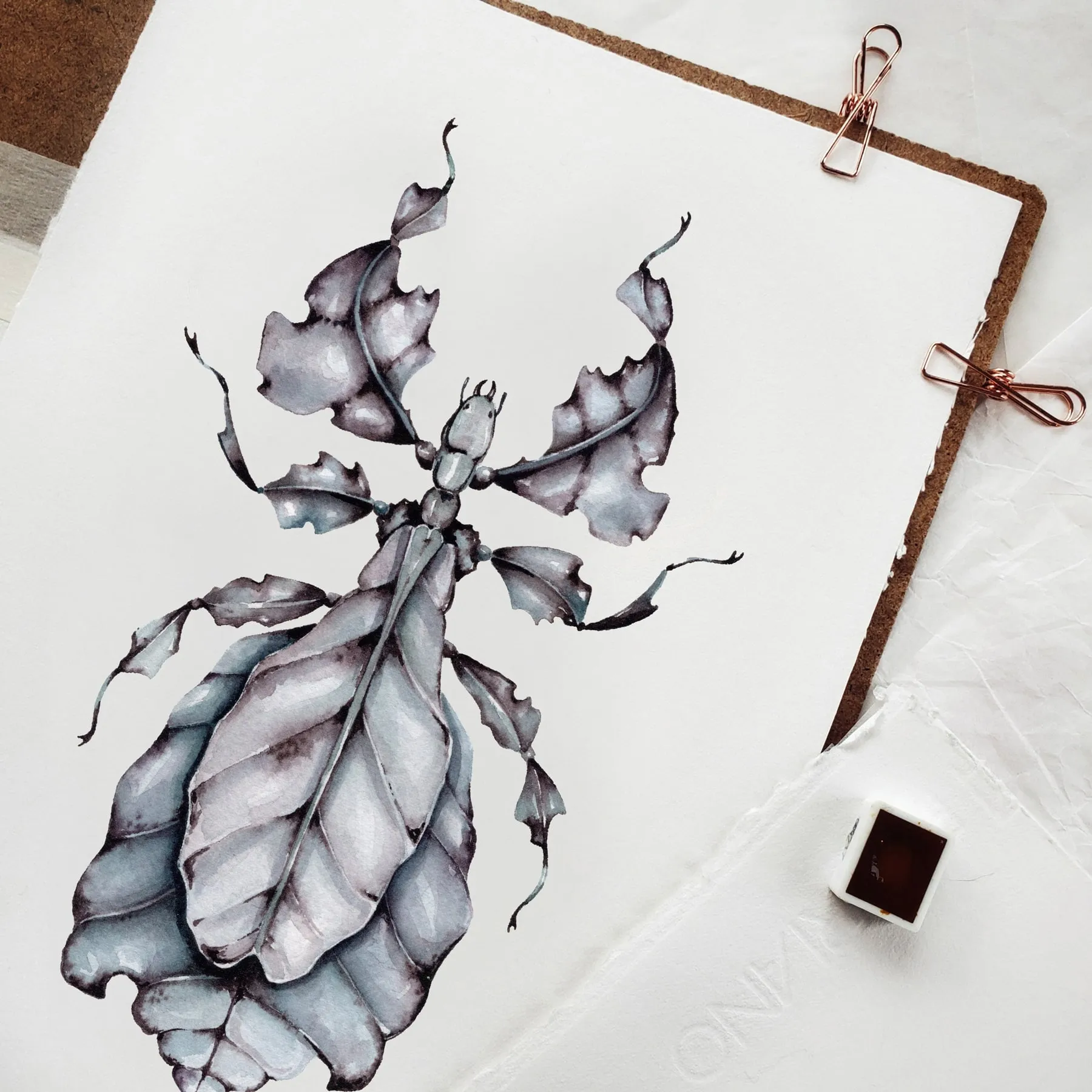 Minibeast Gray's Leaf Insect (Phyllium bioculatum) Watercolour Giclée Print