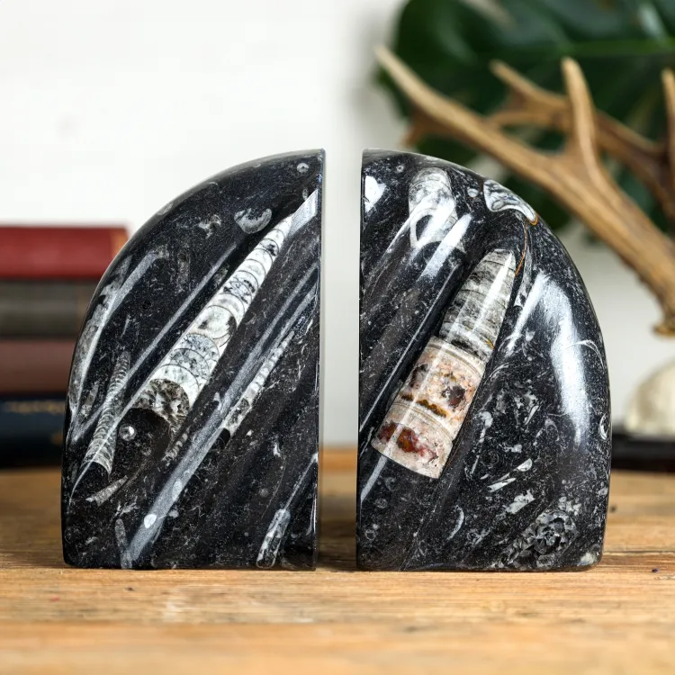Marble Bookends with Fossilised Orthoceras