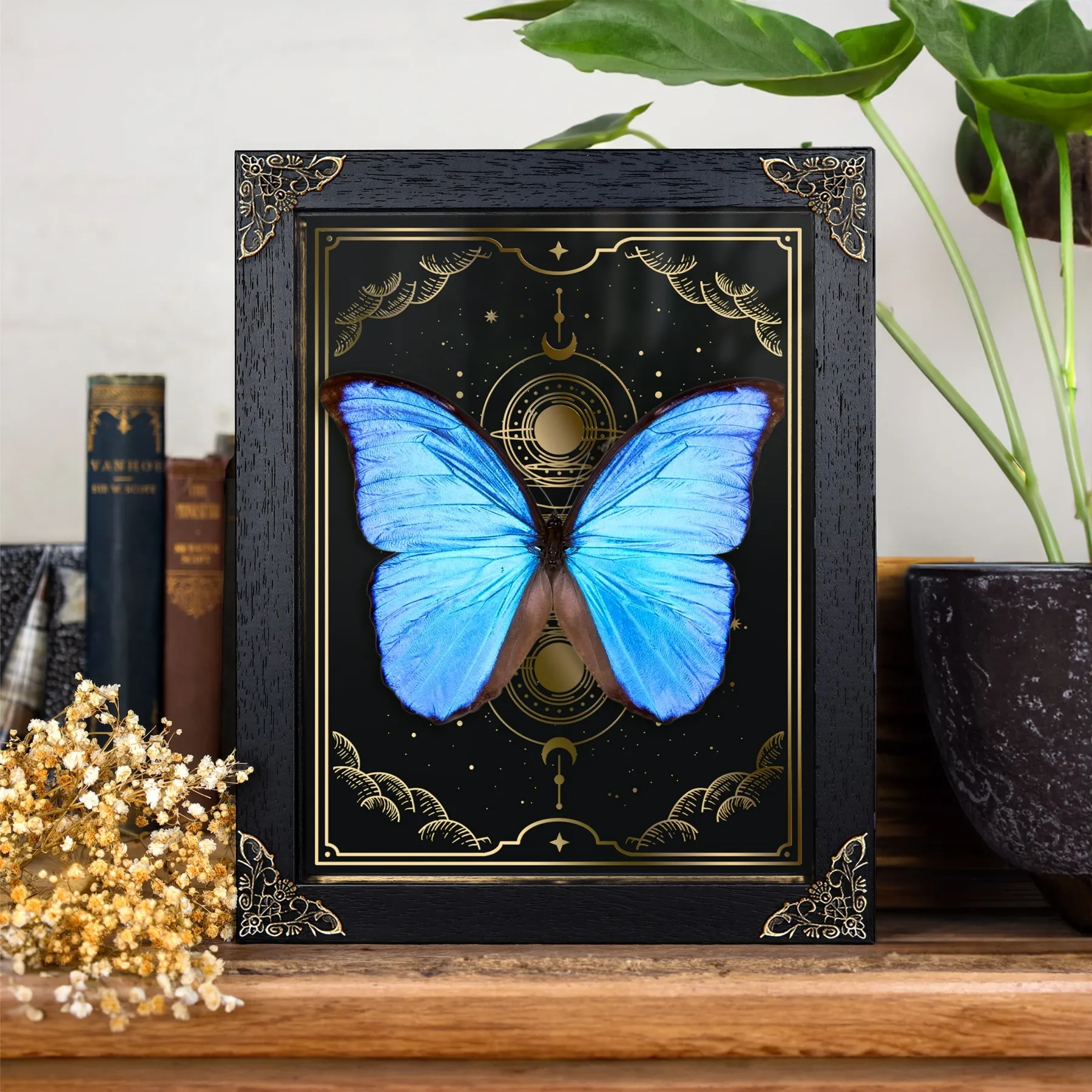 Minibeast Μπλε Μόρφο Πεταλούδα σε Χρυσό Φύλλο Φάσεις Σελήνης (Morpho didius)