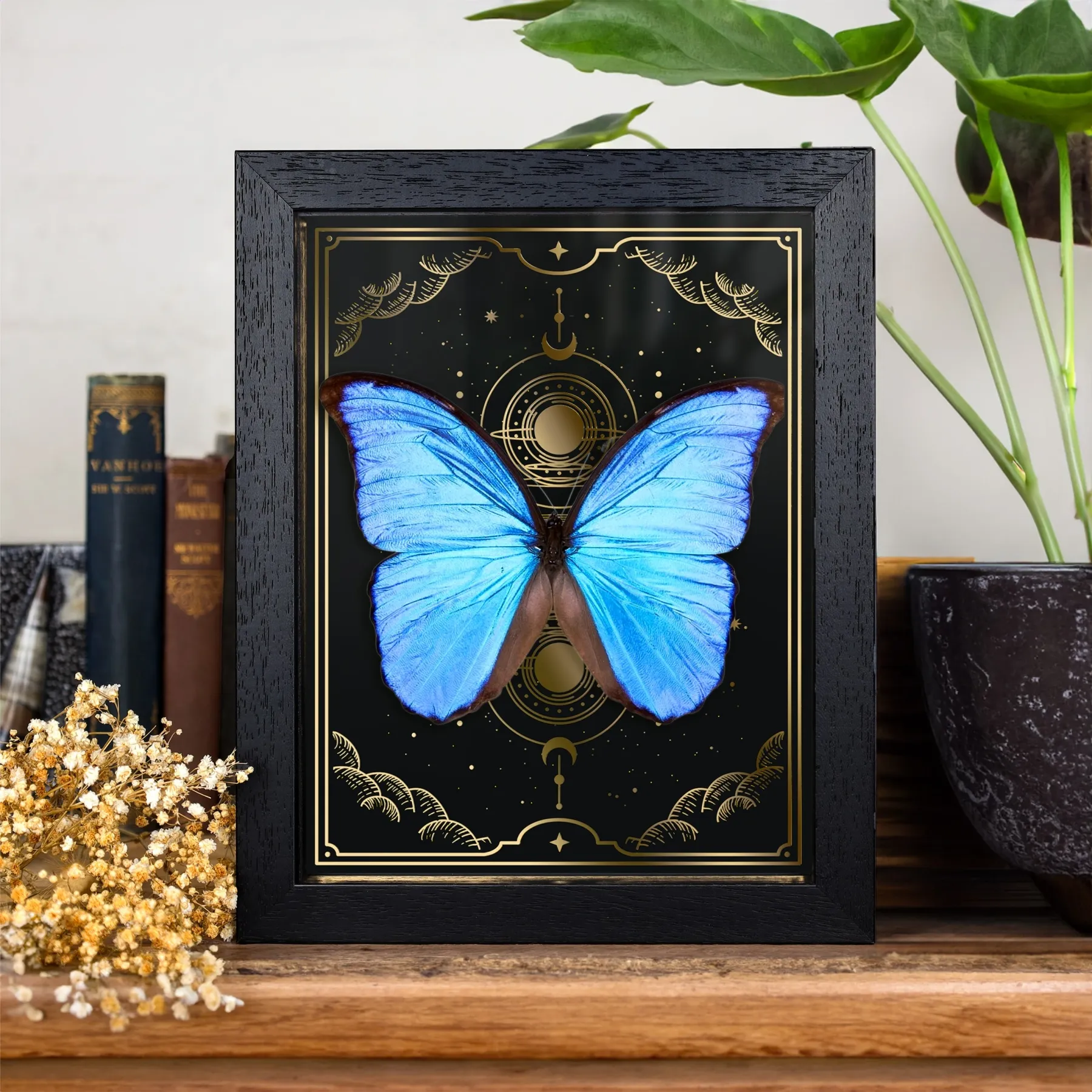 Minibeast Μπλε Μόρφο Πεταλούδα σε Χρυσό Φύλλο Φάσεις Σελήνης (Morpho didius)