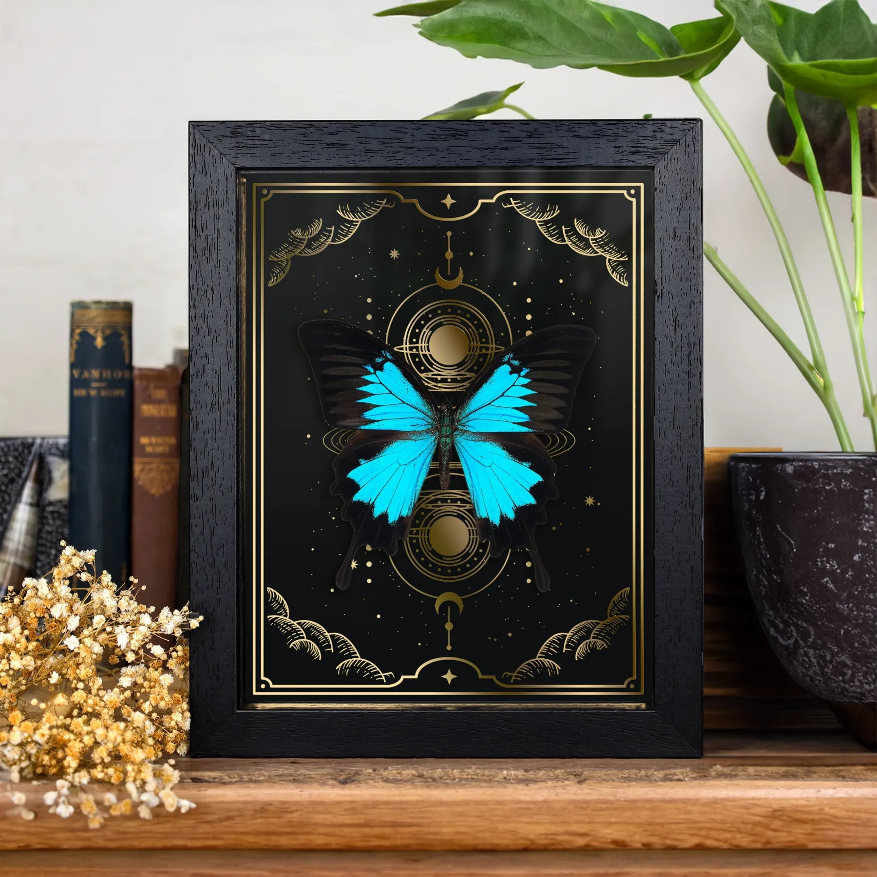 Minibeast cornice barocca con foglia d'oro e esemplare di [[MBTn]] farfalla coda di rondine blu di montagna