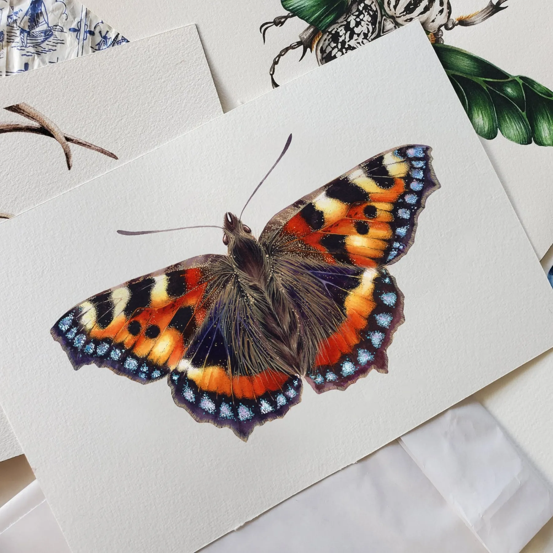 Minibeast La vanessa dell'ortica (Aglais urticae) stampa Giclée ad acquerello
