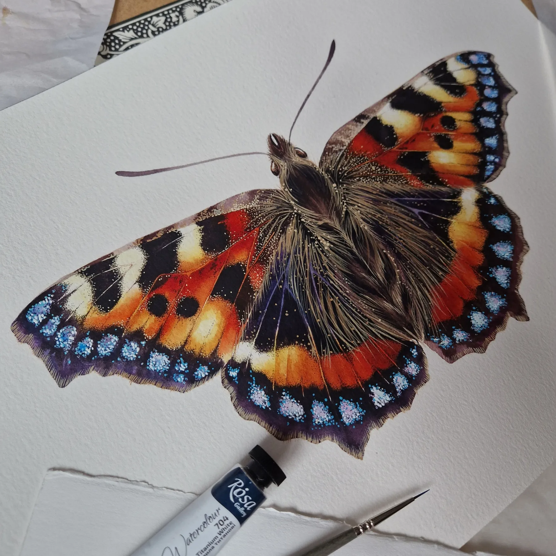Minibeast La vanessa dell'ortica (Aglais urticae) stampa Giclée ad acquerello