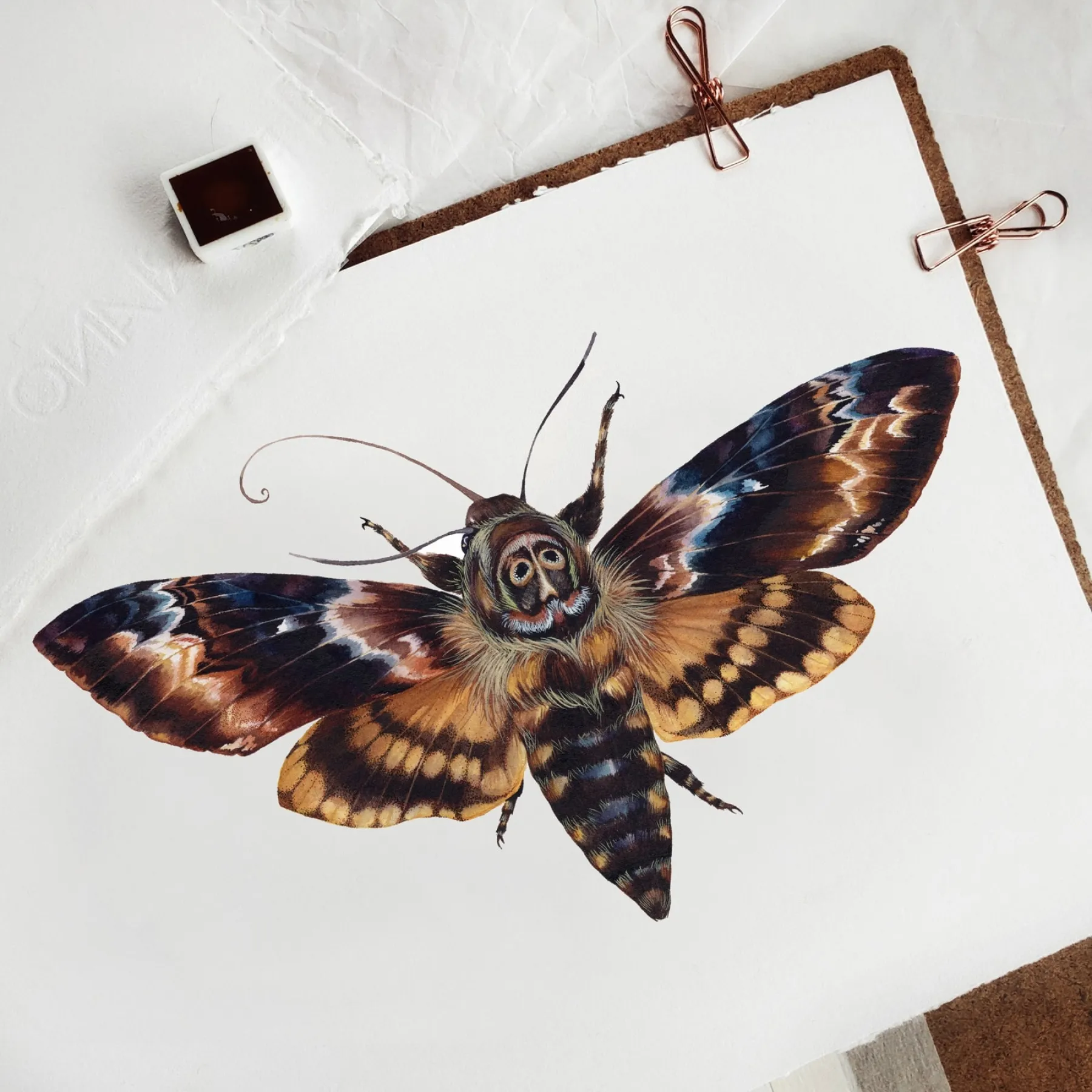 Minibeast Death's Head Moth (Acherontia atropos) Watercolour Giclée Print
