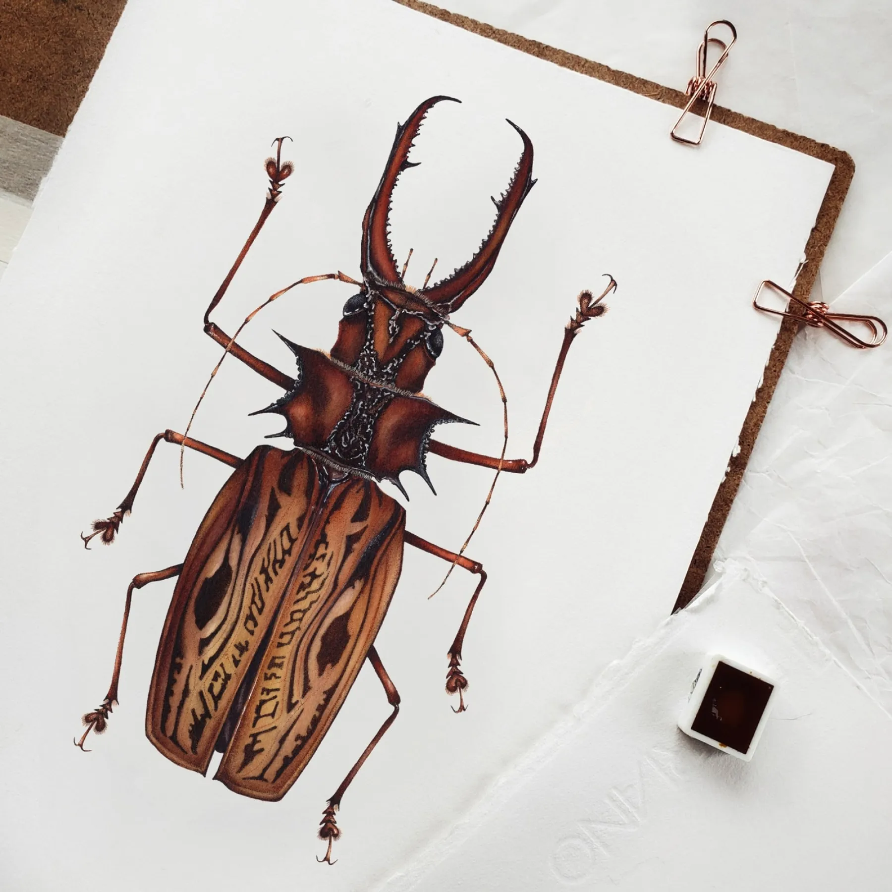 Minibeast Beetle longicorne Sabertooth Mâle (Macrodontia cervicornis) Impression Giclée Aquarelle