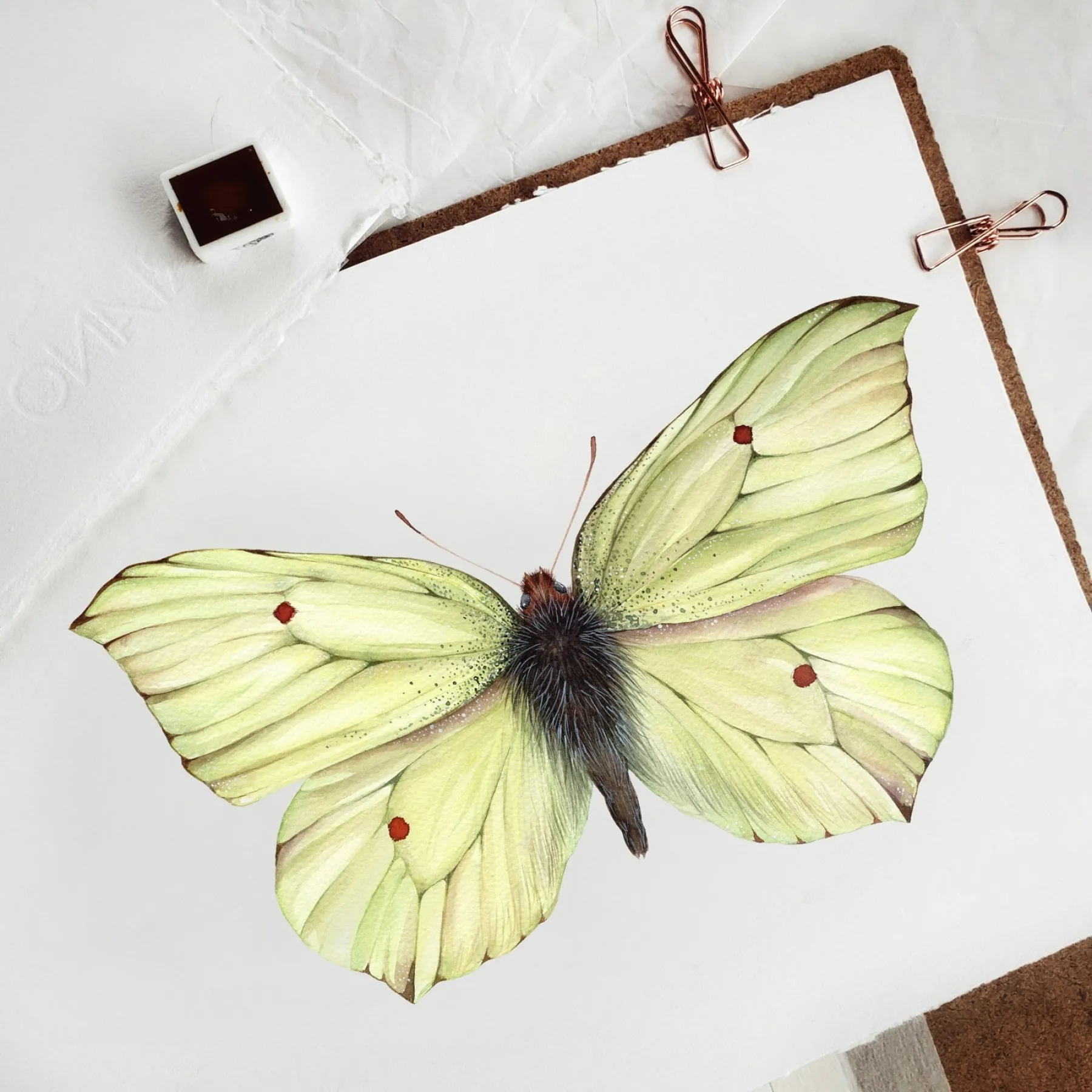 Minibeast Common brimstone butterfly (Gonepteryx rhamni) Watercolour Giclée Print