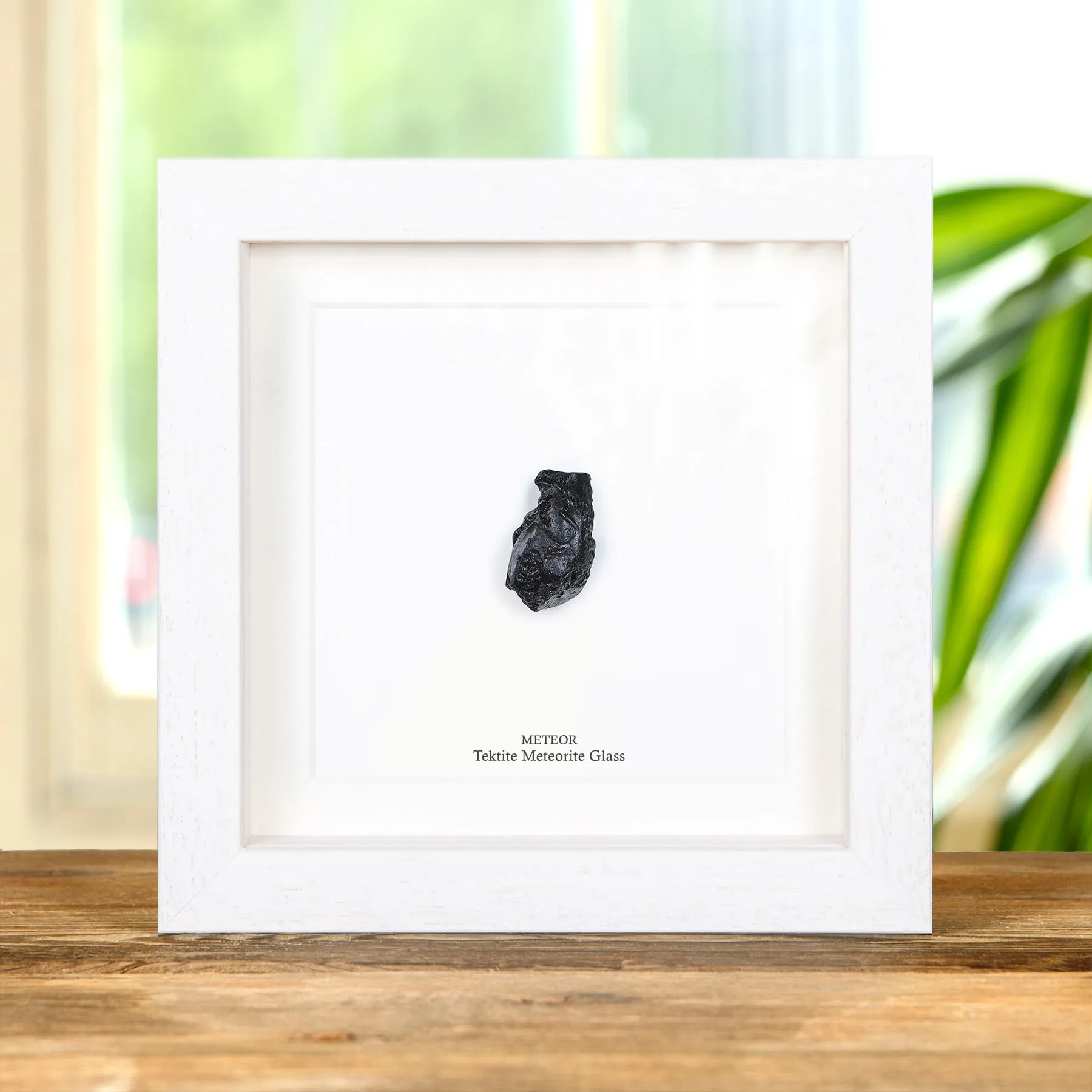 Minibeast Tektiet Meteorite Glas in Lijst