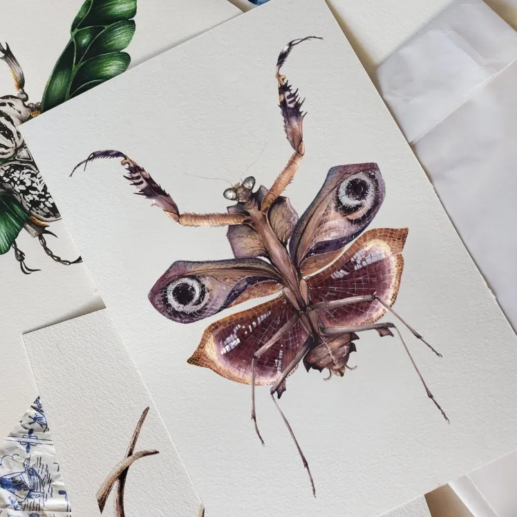 Deroplatys Desiccata Watercolour Giclée Print