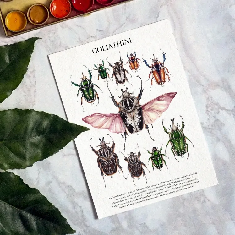 Deroplatys Desiccata Watercolour Giclée Print