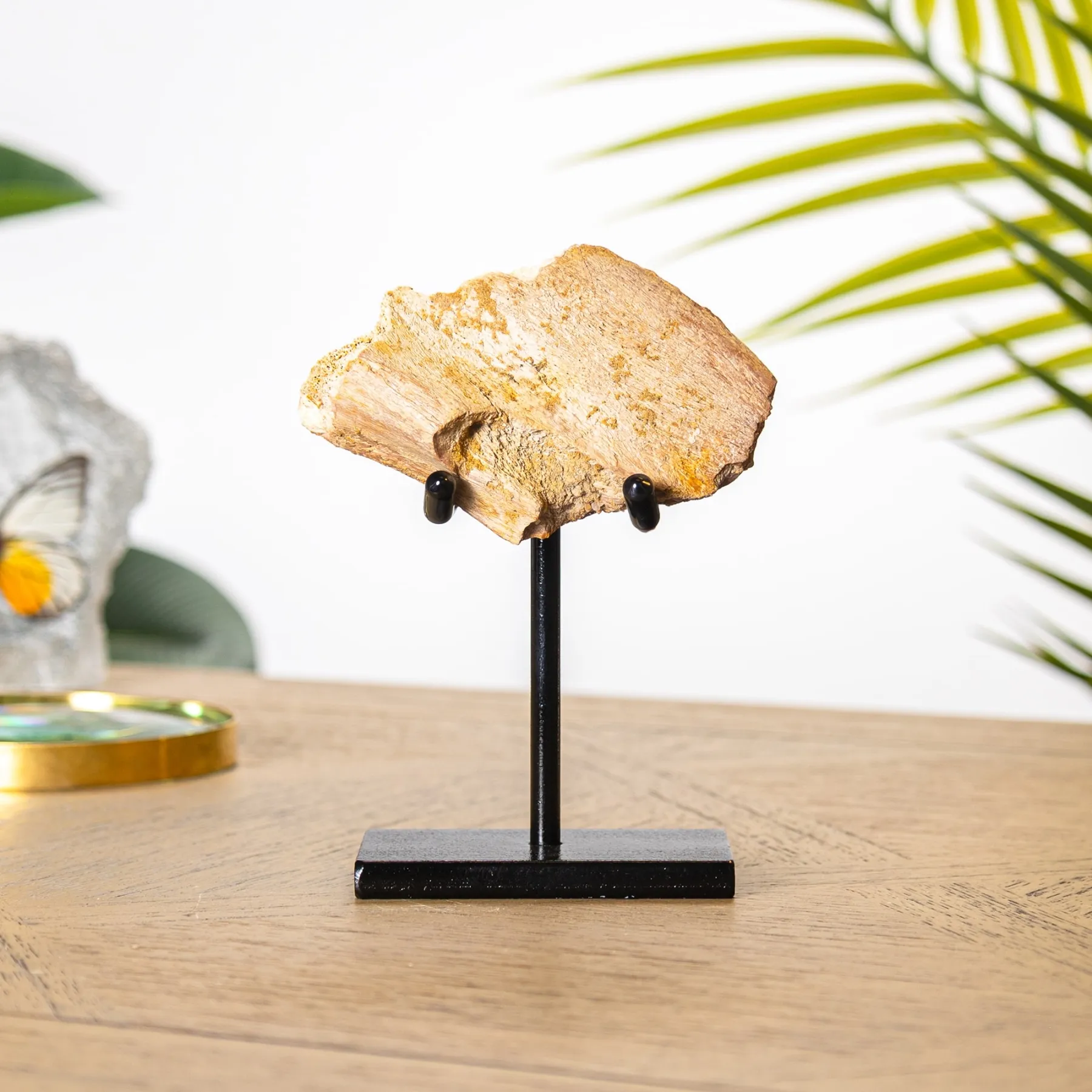 Minibeast Dino Bot Fragment Fossiel op Standaard