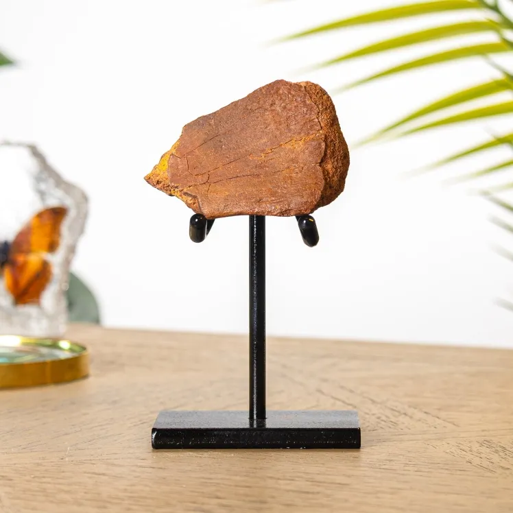 Rough Dinosaur Bone Fragment Fossil on Stand
