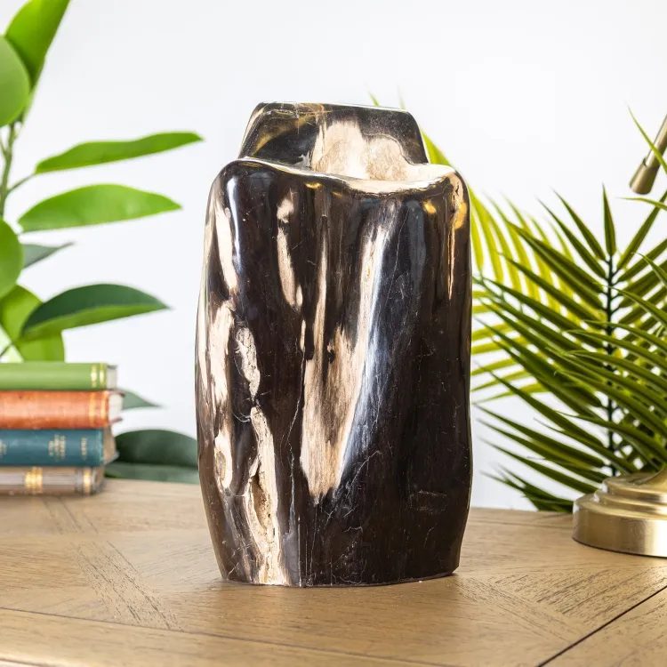 XL Petrified Wood Log