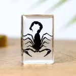 Minibeast Scorpion in Resin Block