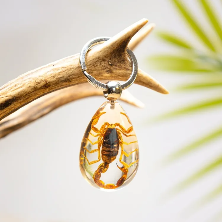 Yellow Scorpion in Resin Keyring