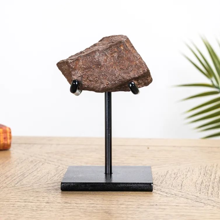 XL 500g Iron Meteorite on Stand