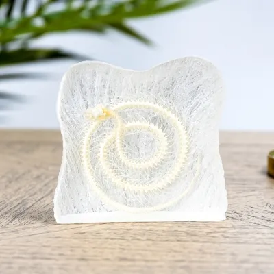 Snake Skeleton in Resin