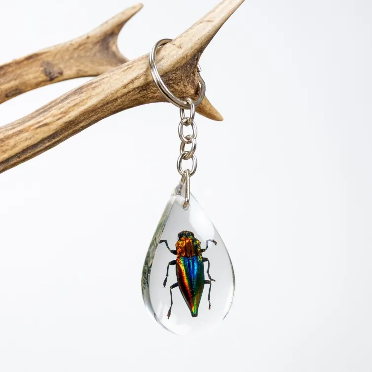 Jewel Beetle in Resin Keyring