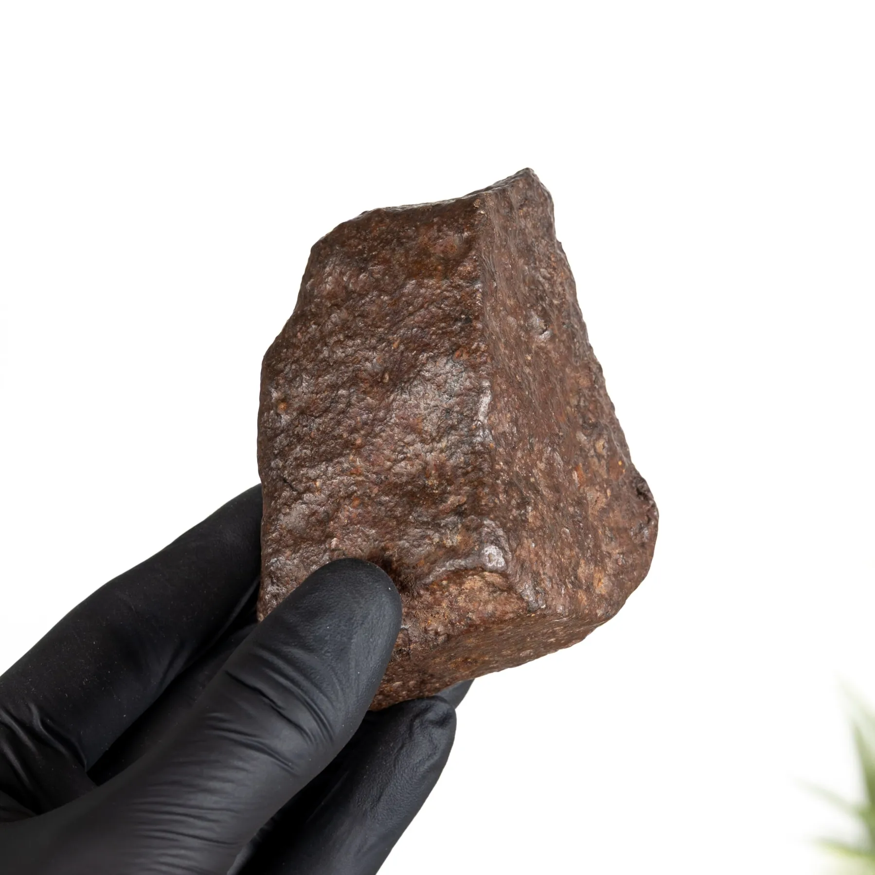 Minibeast XL 500g Eisen Meteorite