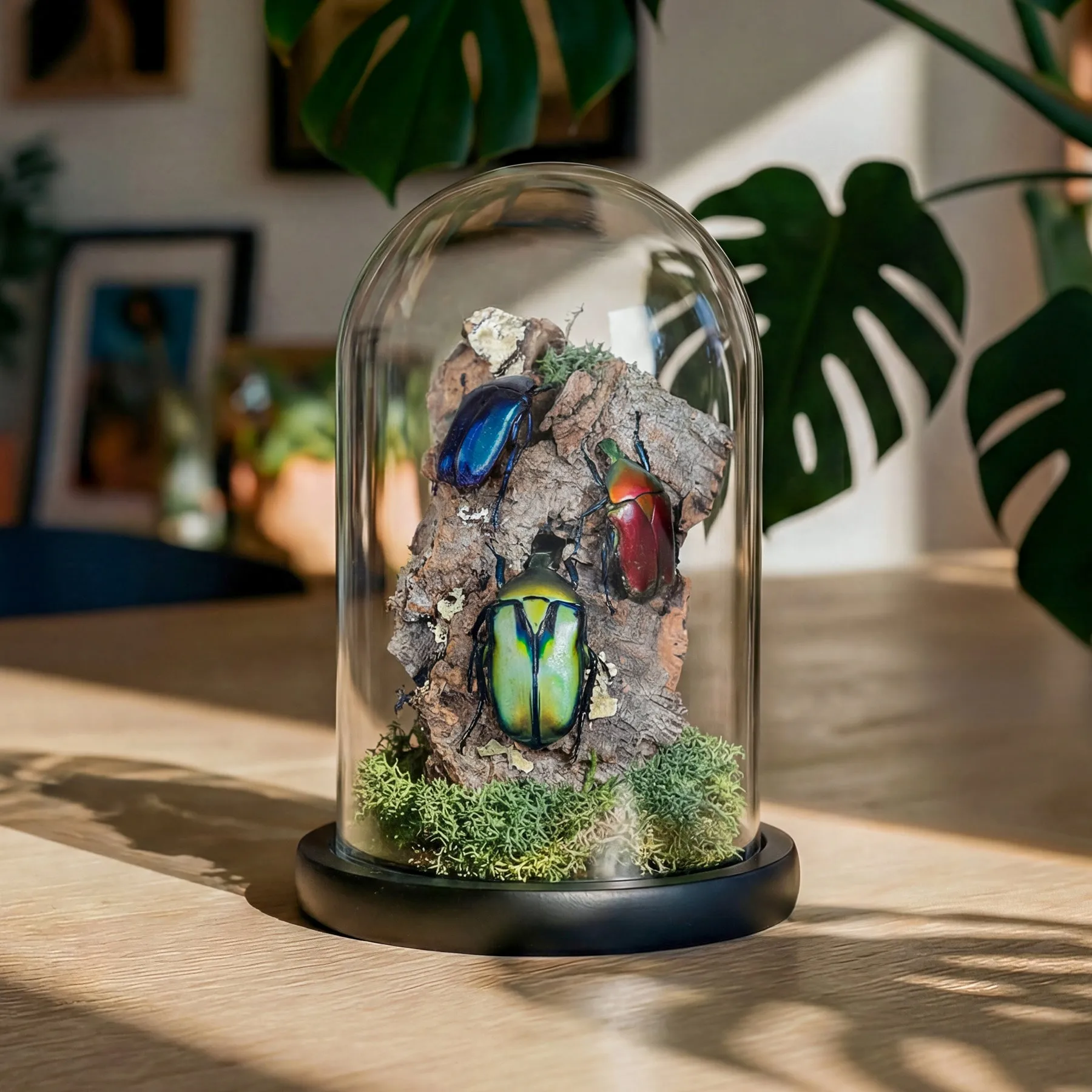 Minibeast Trio arcobaleno di scarabei dei fiori in stile natura morta, in campana di vetro