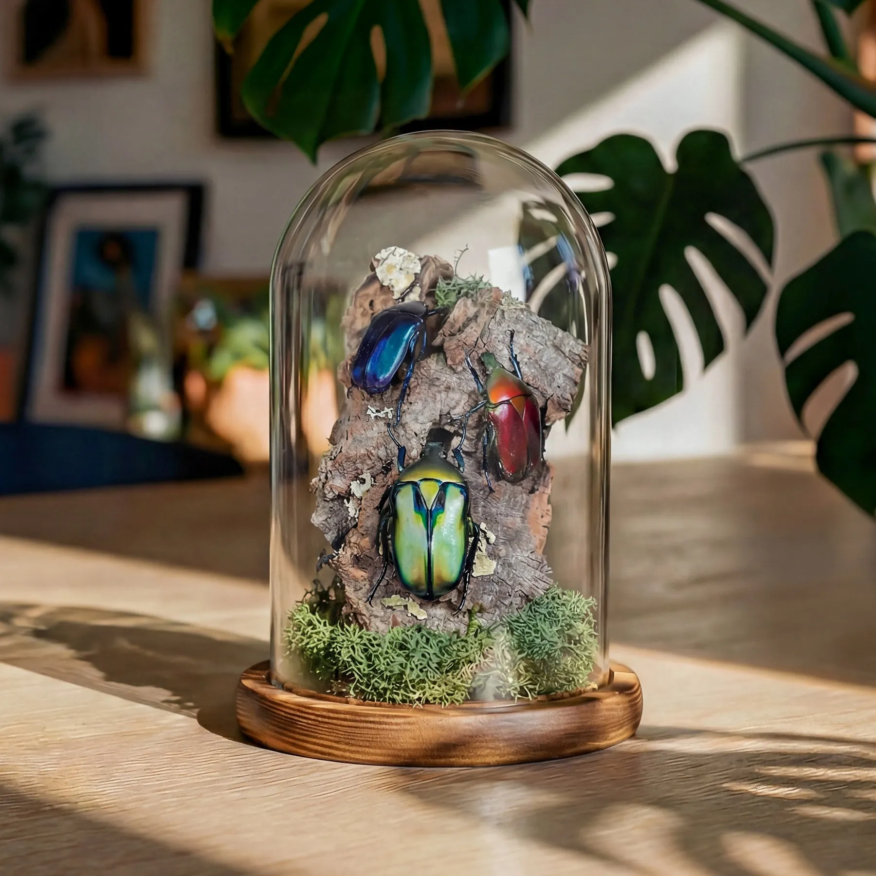 Minibeast Trio arcobaleno di scarabei dei fiori in stile natura morta, in campana di vetro
