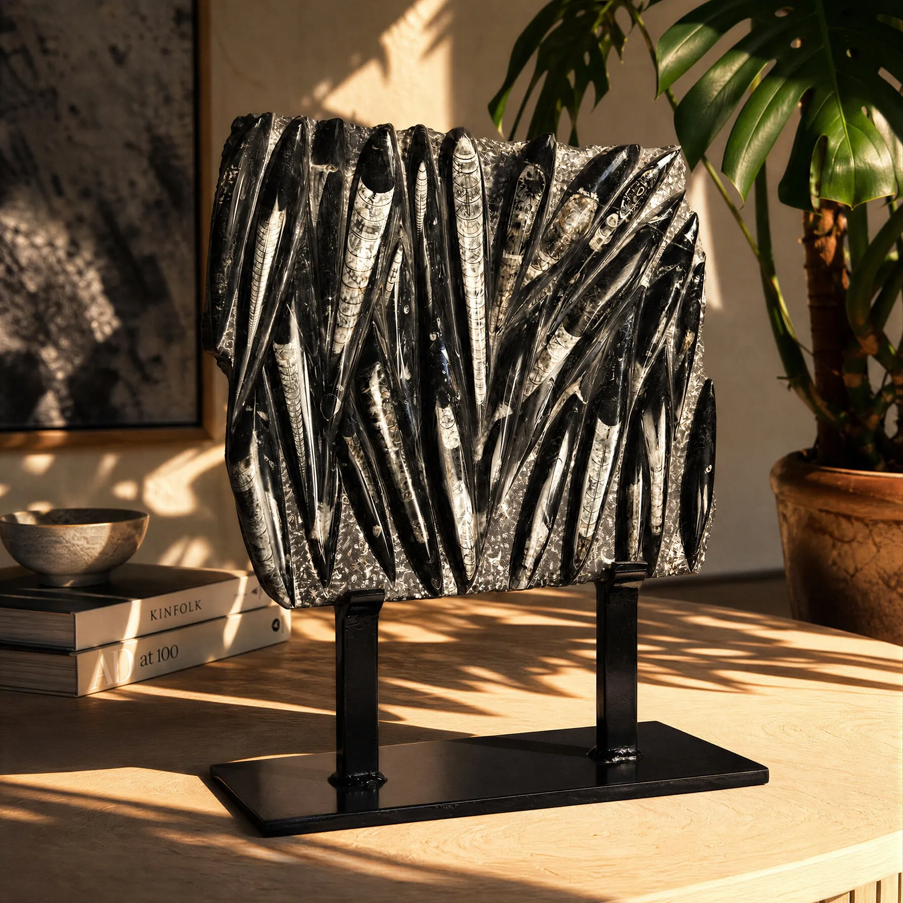 Minibeast XXL Orthoceras Slab Fossil on Museum Stand (Orthoceras sp)