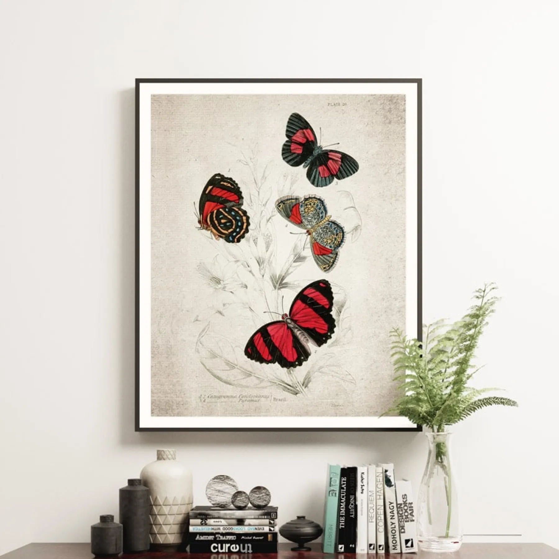 Minibeast Historische Entomologie Giclée-Druck (Catagramma Conomanus 1835)