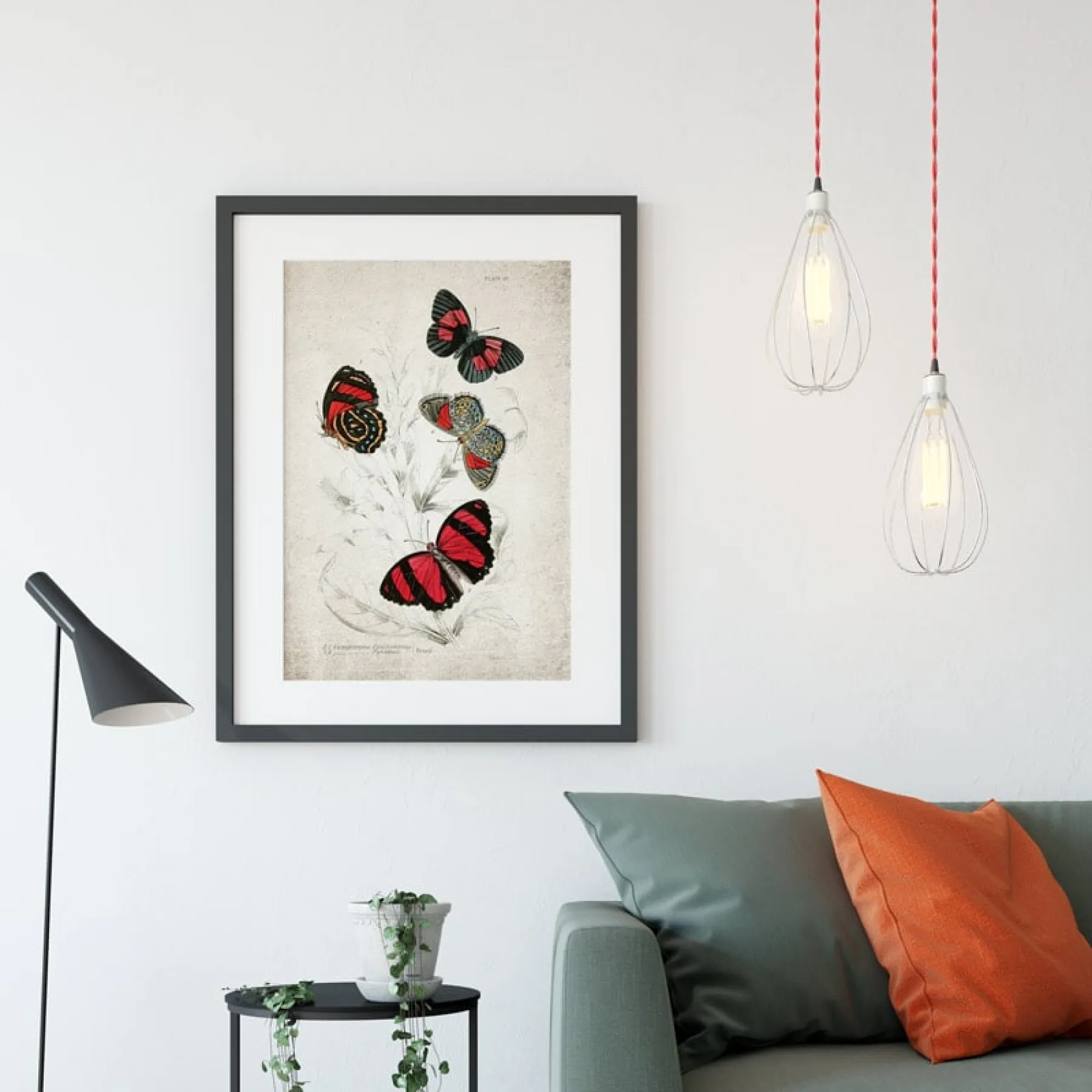 Minibeast Historische Entomologie Giclée-Druck (Catagramma Conomanus 1835)