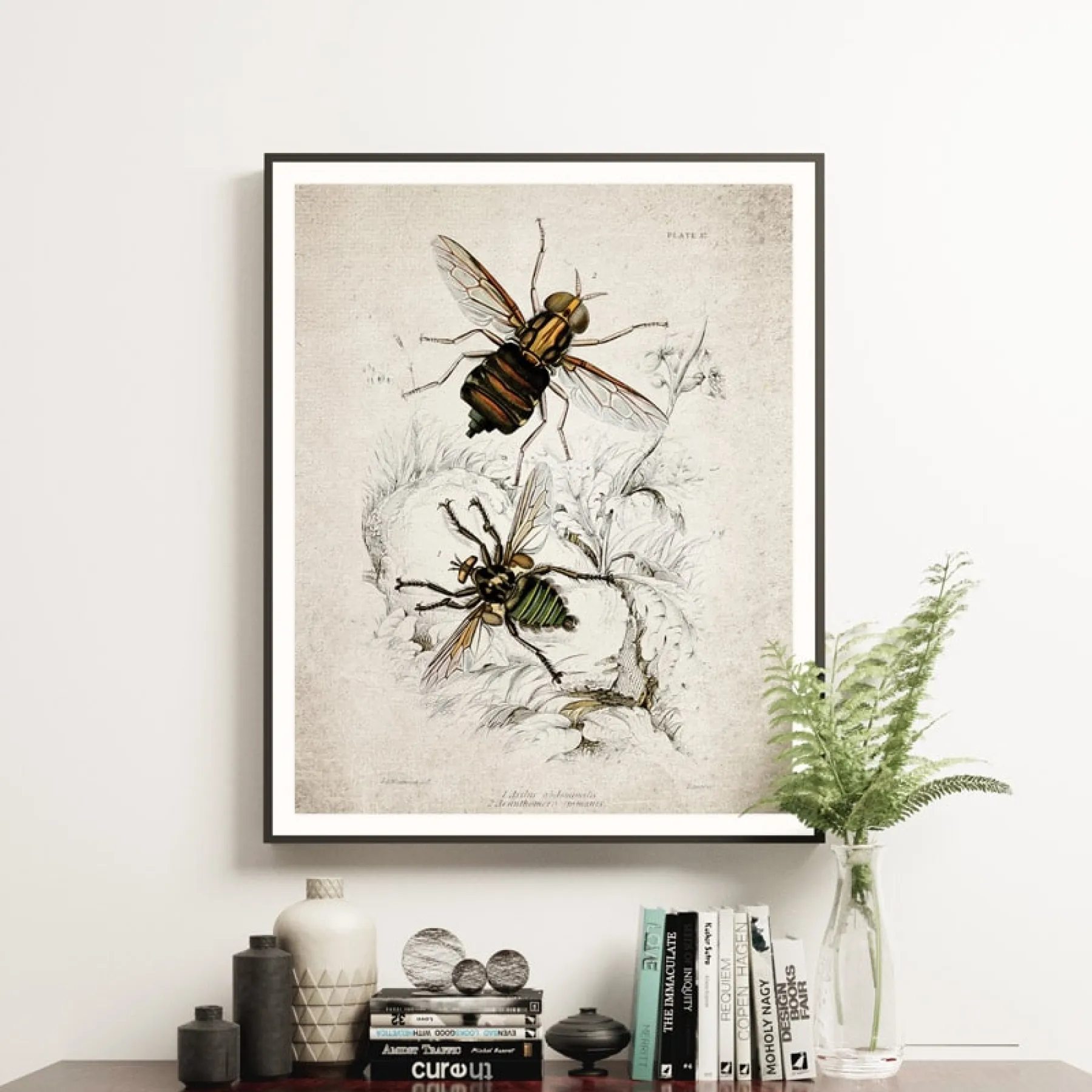 Minibeast Historische Entomologie Giclée-Druck (Asilus Abdominalis 1835)